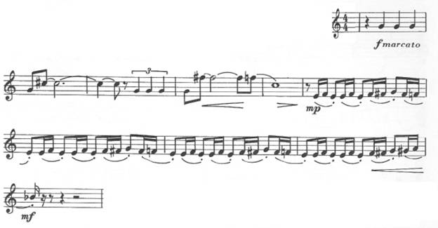 Equale V
